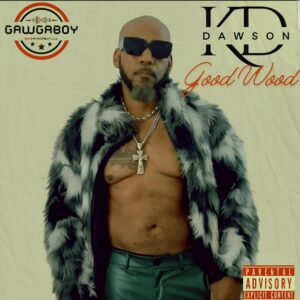 KD DAWSON-  Good Wood(radio edit)